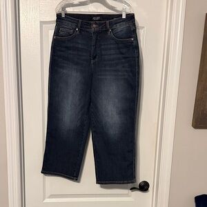 Judy Blue Dark Wash Cropped Jeans